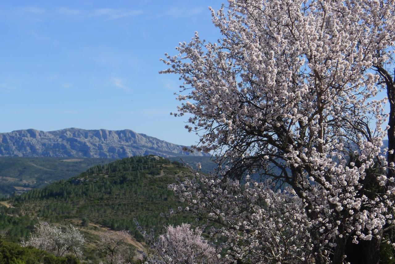 Chalet Yourte Nature / Saint Roch Tuchan