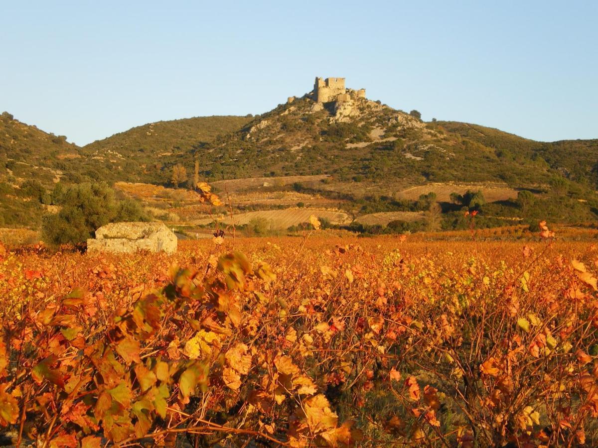 Yourte Nature / Saint Roch * Tuchan