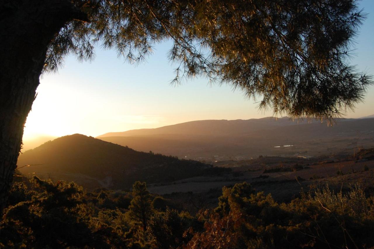 Yourte Nature / Saint Roch *
