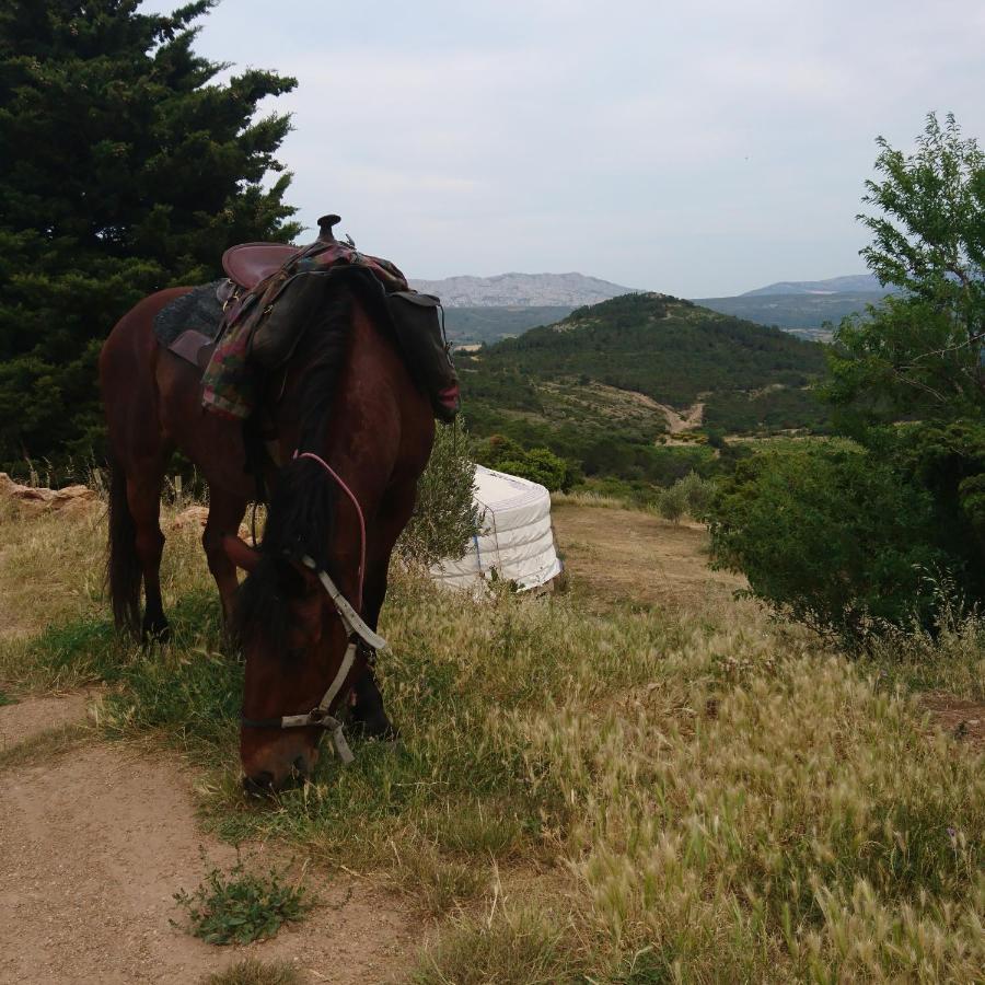 Yourte Nature / Saint Roch